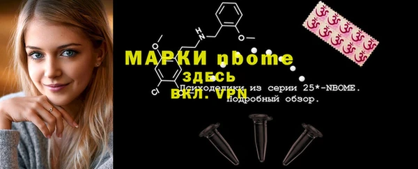 МДПВ Каменка