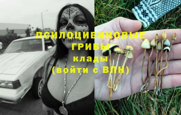 стаф Каменск-Шахтинский
