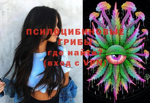 МДПВ Каменка