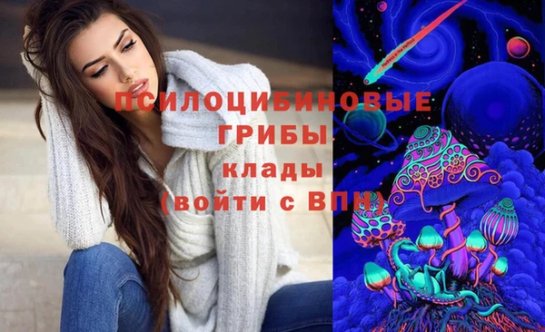 МДПВ Каменка