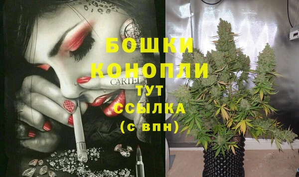 стаф Каменск-Шахтинский