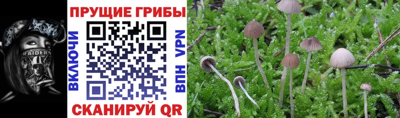 Псилоцибиновые грибы ЛСД  Мураши 